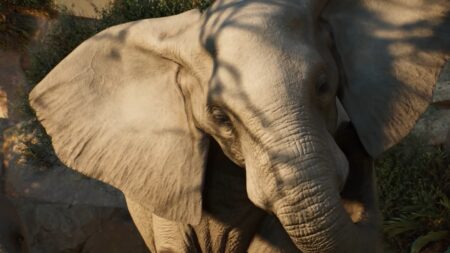 Planet Zoo 2: Release Date, Prices, Platforms & Key Features planet zoo 2