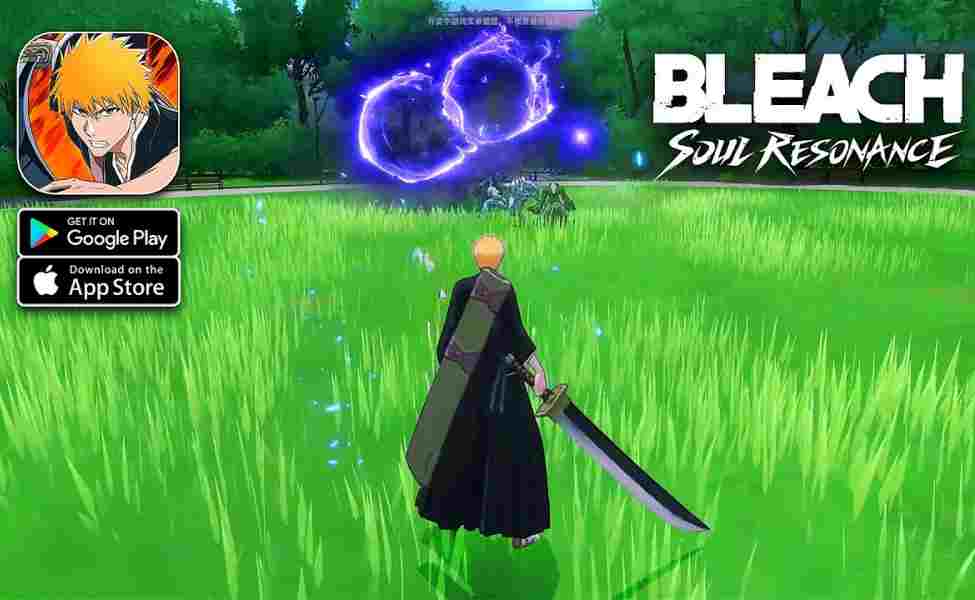 What Are Bleach Soul Resonance redeem codes?