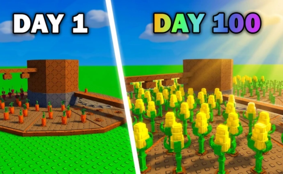 active build a ring farm codes may 2026