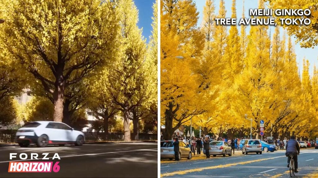 Forza Horizon Location in Real World Meiji Ginkgo Tree Avenue, Tokyo
