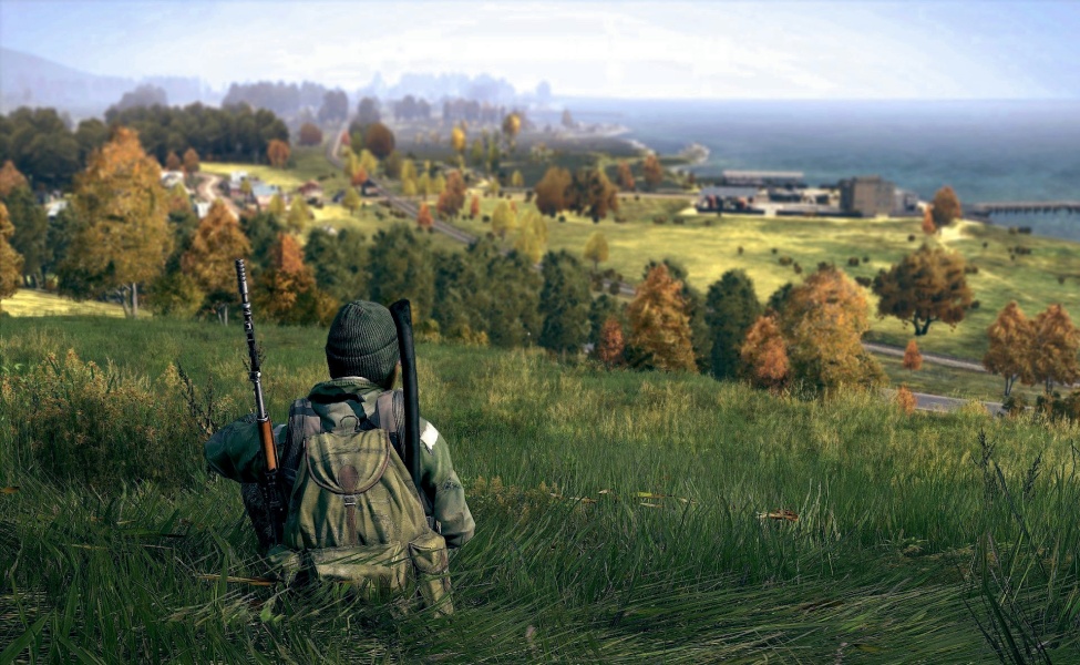Armed player overlooking rural landscape with coastal town in DayZ survival game